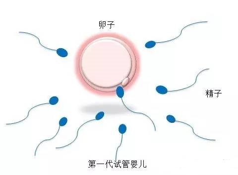 男科专家